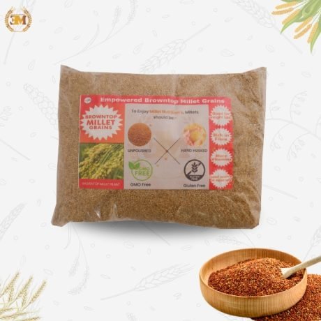 Browntop Millet Gluten Free Grains
