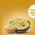 Foxtail Millet Gluten Free Grains