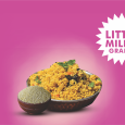 Little Millet Gluten Free Grains