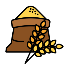 Healthy Gluten Free Millet Grains